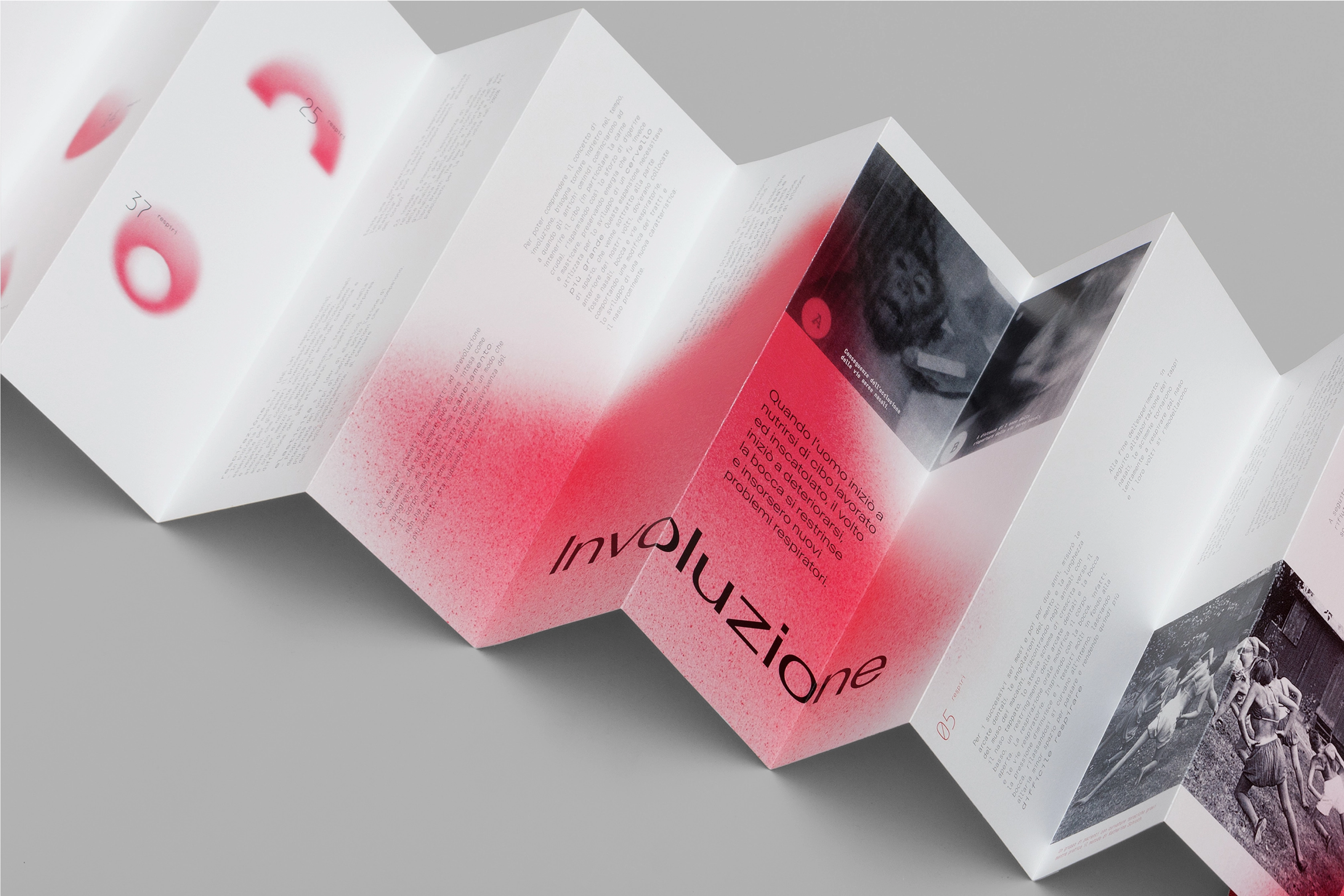 Immagine principale del progetto 5,5