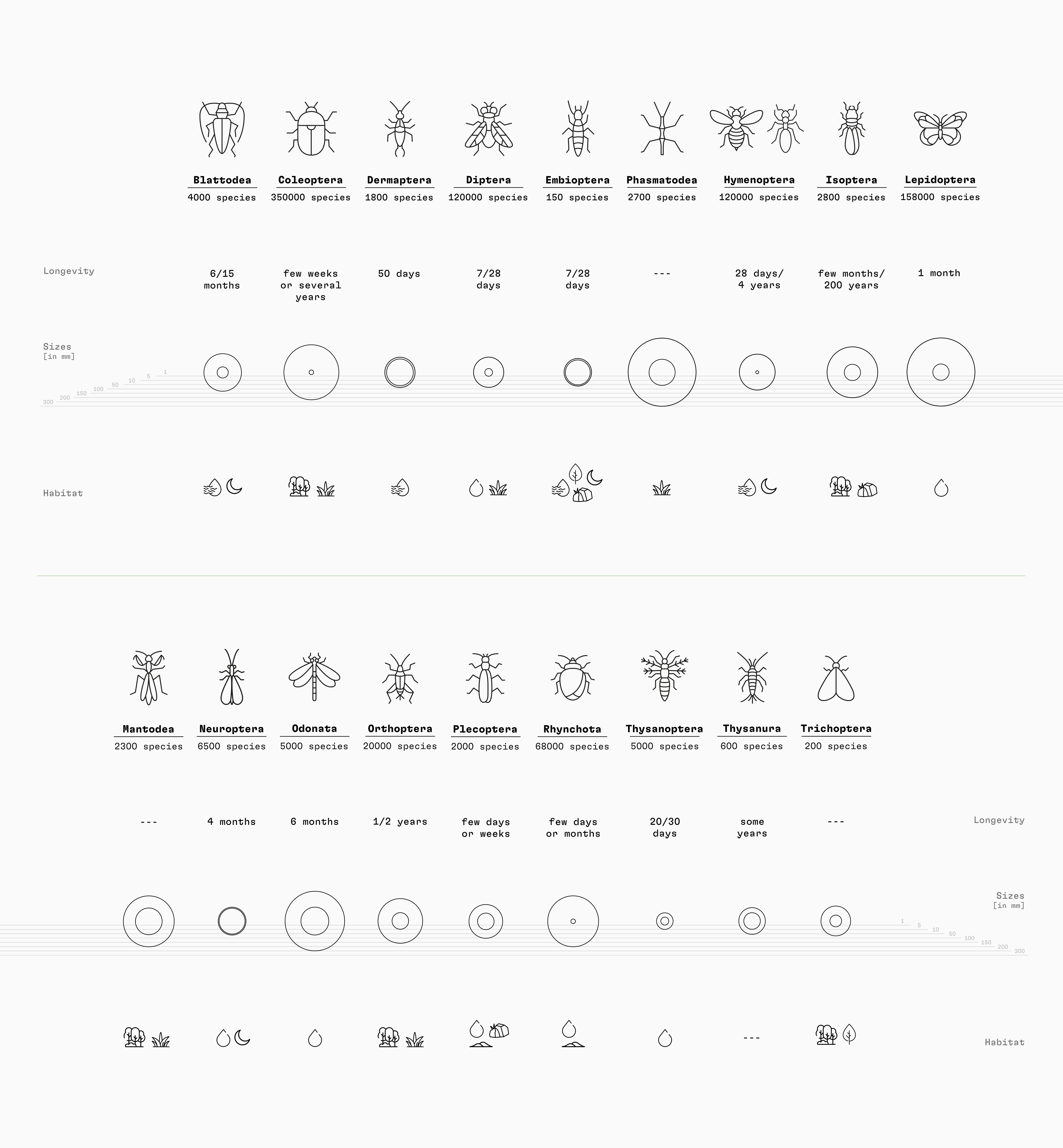 infografica insetti