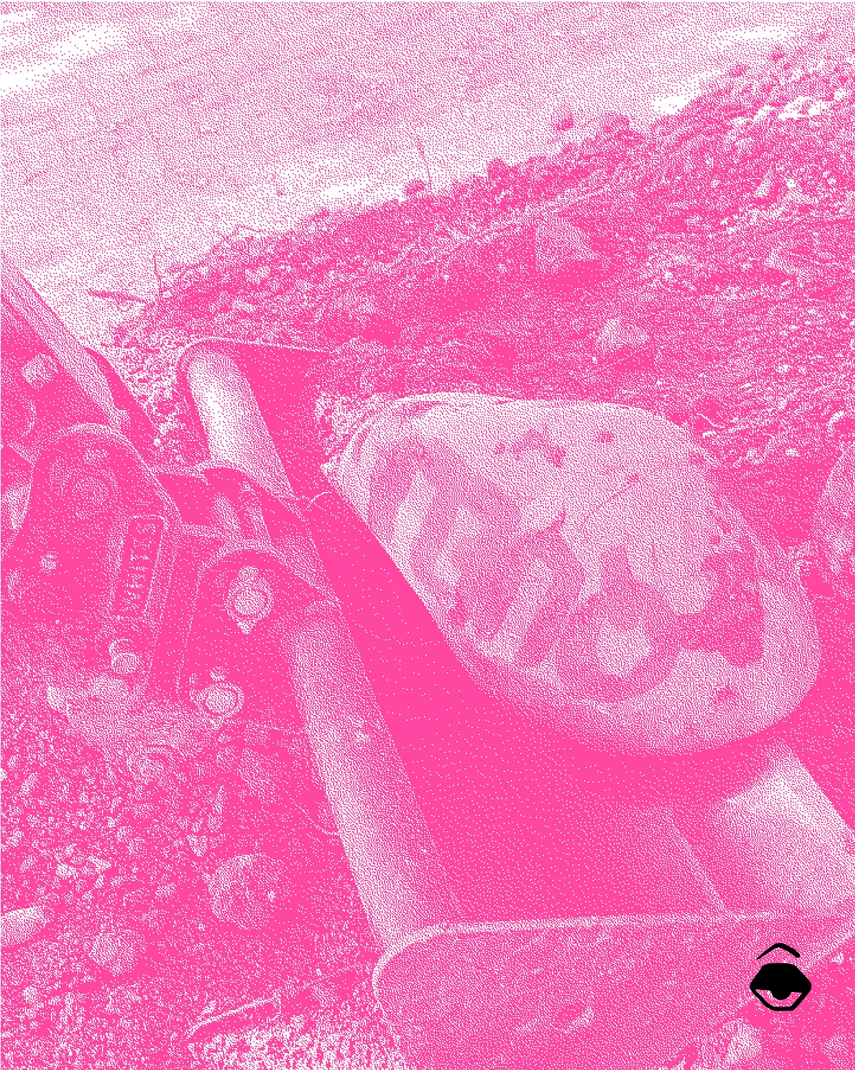 Foto del festival di fomm quell