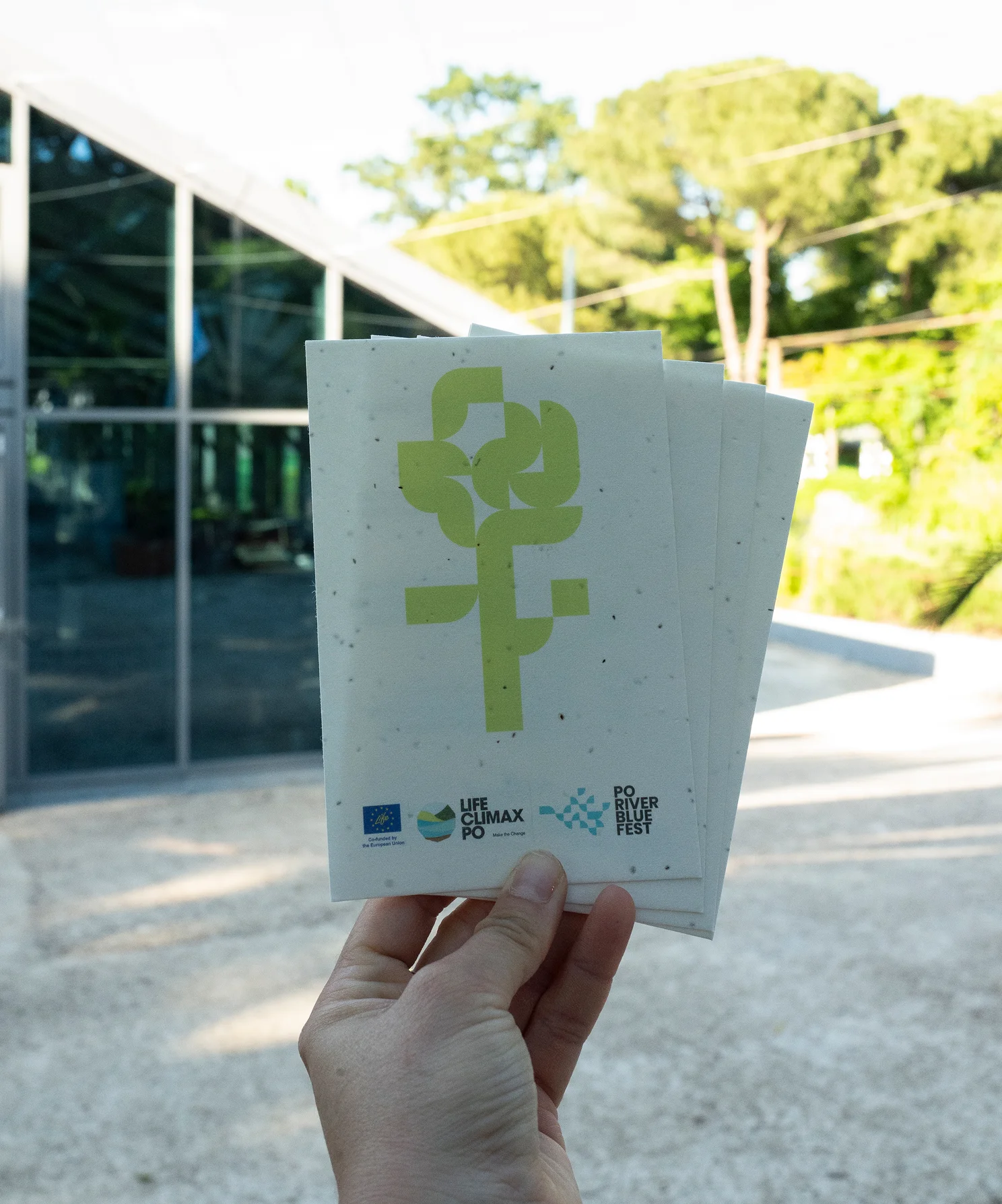 Foto ambientata della grafica delle eco-cards