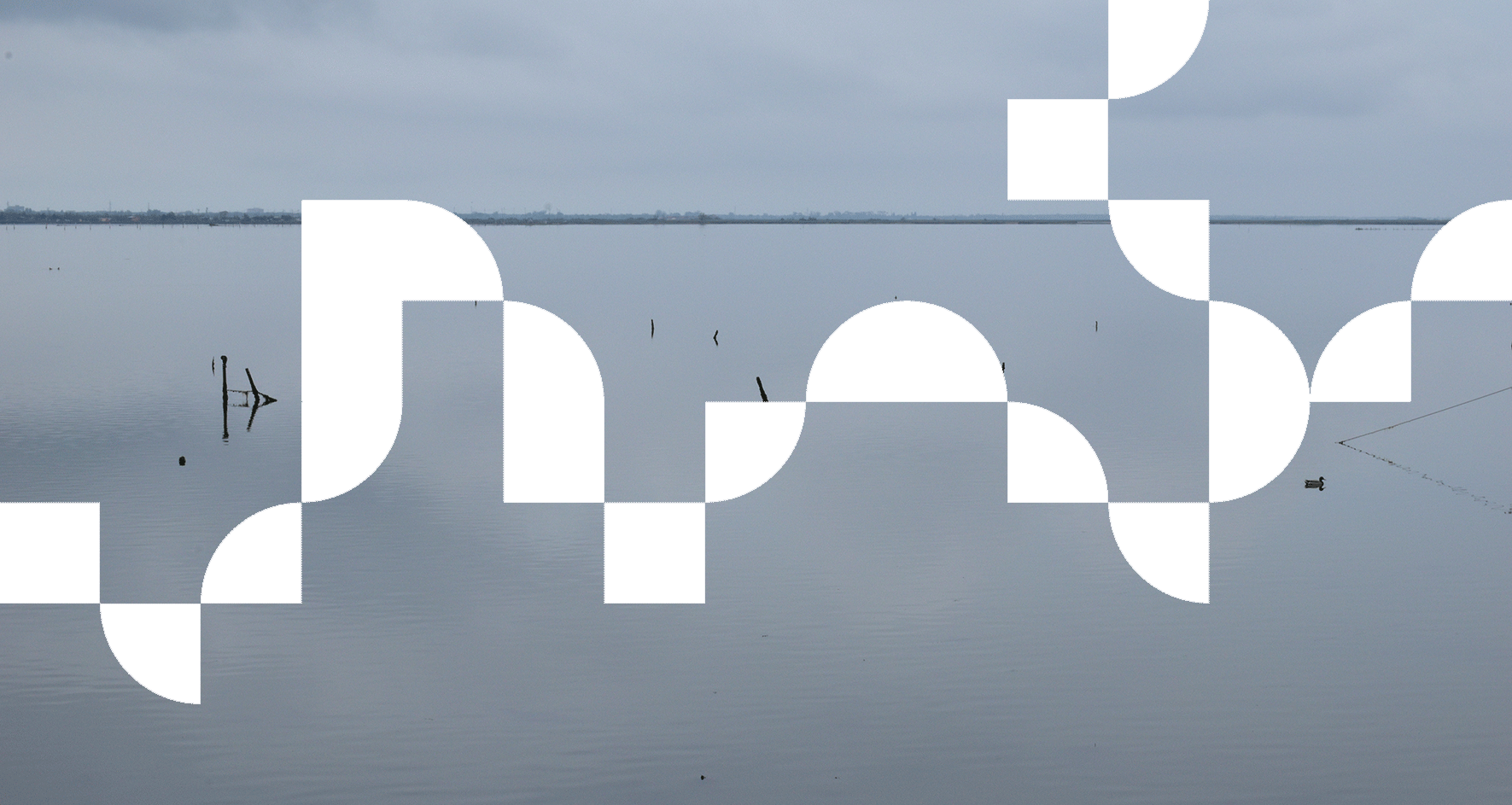 Gif Visual Sito Web - Foto del Po con pattern animato